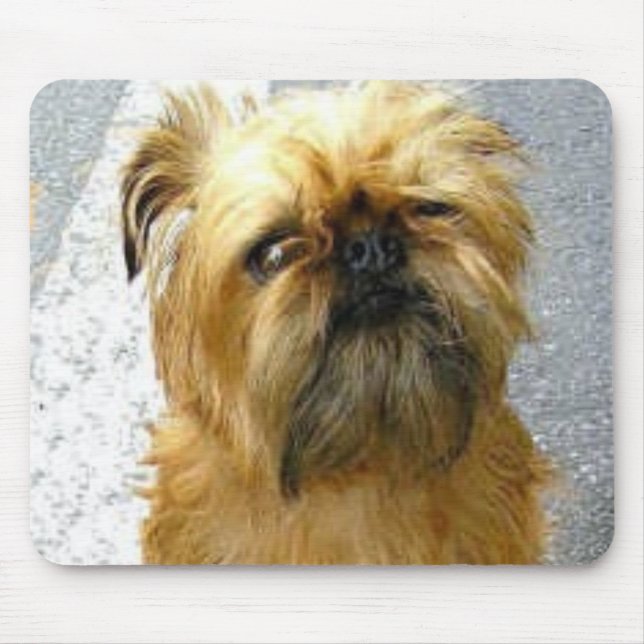 Bruxelas Griffon Mousepad (Frente)
