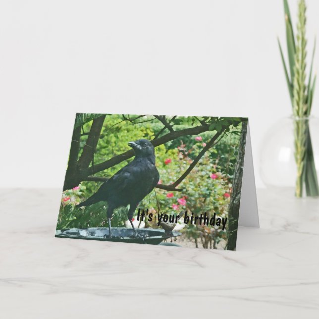 BT- Cartão de Aniversário Crow Funy (Frente)