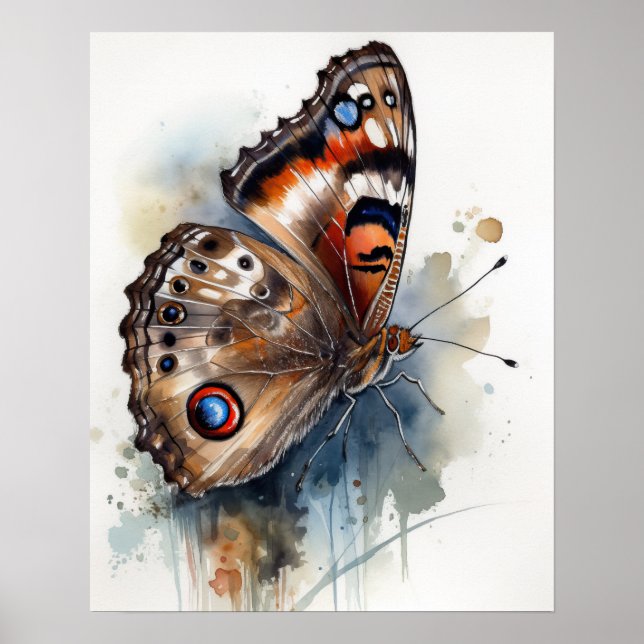 Buckeye Butterfly Art Poster Impressão (Frente)