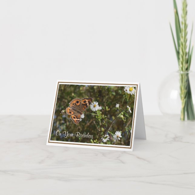 Buckeye Butterfly - Cartão Aniversário (Frente)