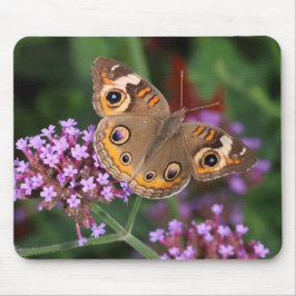 Buckeye Butterfly em Verbena Mousepad