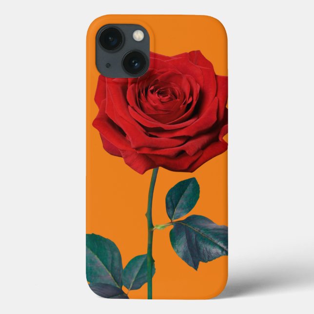 BuddhaToday V1 #21 "Chamando Todos os Zen"  (Verso)