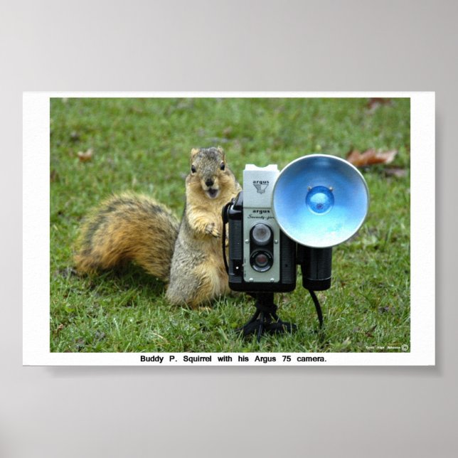 BUDDY P. SQUIRREL POSTER  (Frente)