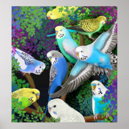 Budgerigars em Ferns Poster