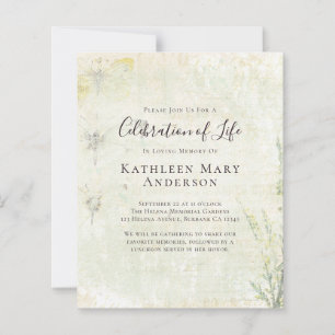 BUDGET Vintage Celebração da Vida