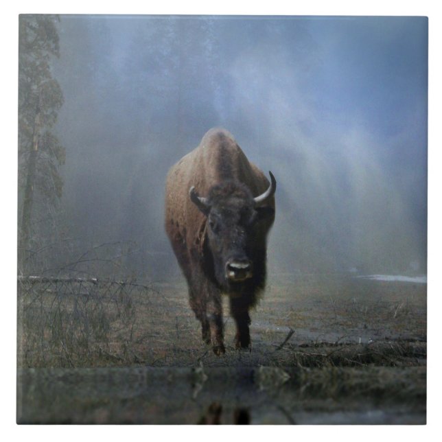 Bufallo Nativo Americano no Azulejo de Arte Mista (Frente)