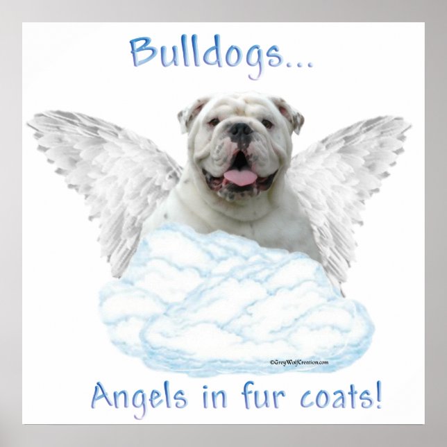 Buldogdog Angel Poster (Frente)