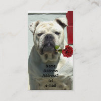 Buldogue branco com cartão de visita cor-de-rosa