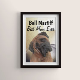 Bull Mastiff Best Mãe Poster