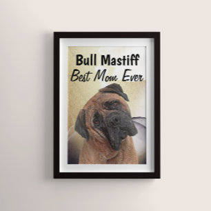 Bull Mastiff Best Mãe Poster