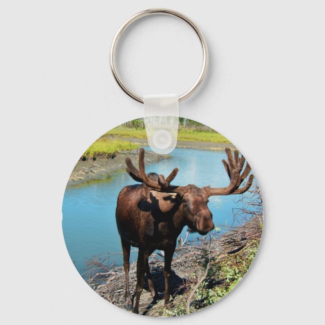 Bull Moose Chaveiro (Frente)