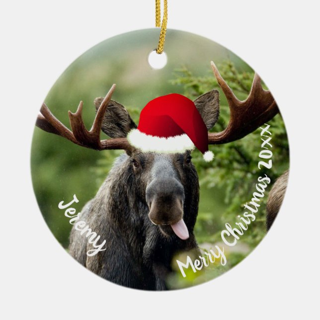 Bull Moose em Ornamento Cerâmico de Santa Hat (Frente)