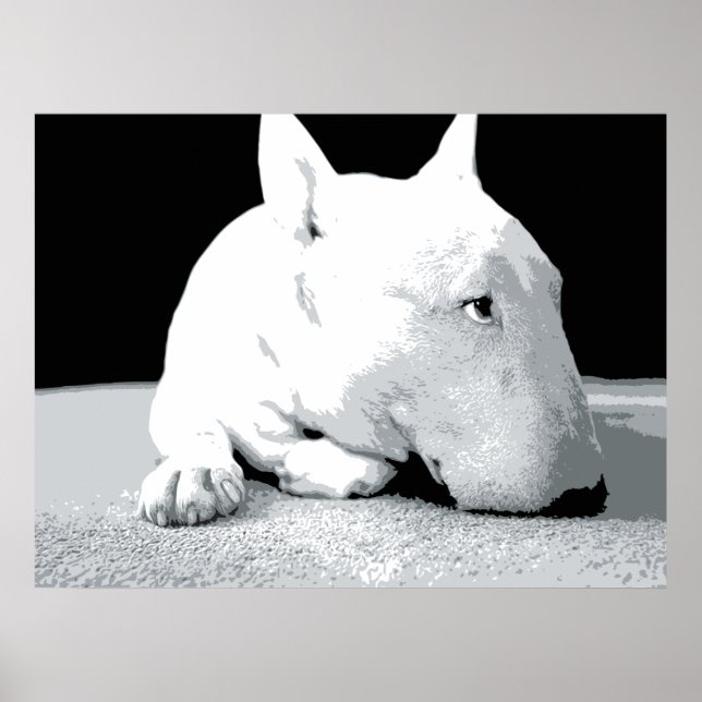Bull Terrier inglês, Pop Art Impressão (Frente)