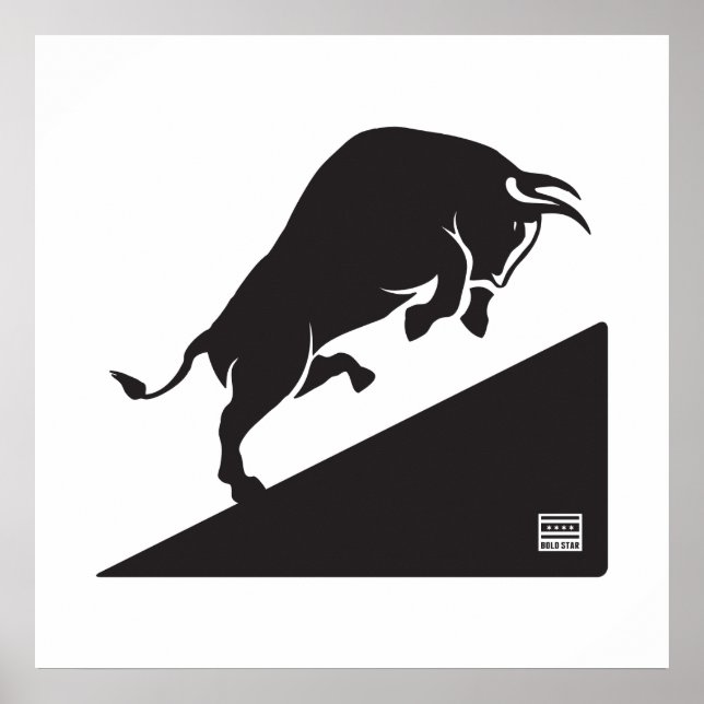 Bull Up CHI Poster (Frente)