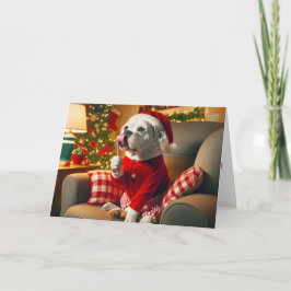 Bulldog Americano com Cartão Candi