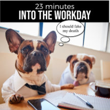 Bulldog Francês Eu Deveria Fingir Minha Camisa Da