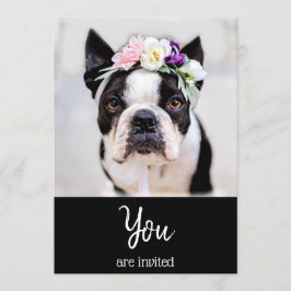 *~* Bulldog Francês Fofura de Frenchie  Convite de