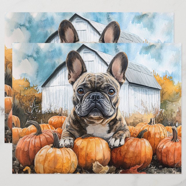 Bulldog Francês no Papel de Pumpkin Patch (Frente/Verso)