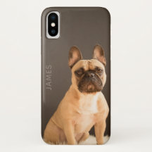 Bulldog Francês Nome Personalizado | Cachorro