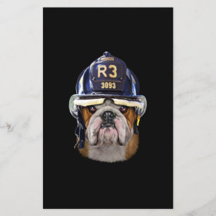 Bulldog Inglês Grumpy Vestindo Helmet para Bombei
