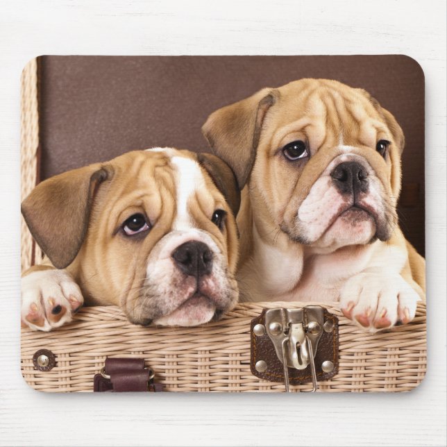 Bulldog Inglês - Mousepad (Frente)
