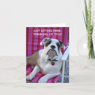 BULLDOG PENSANDO EM SEU CARTÃO DE VAZIO!