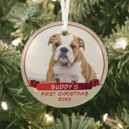 Bulldog Puppy 1 rua de Natal Cachorro Vermelho Fot