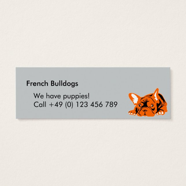 Bulldogs Franceses (Verso)