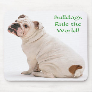 Bulldogs governam o World Mousepad