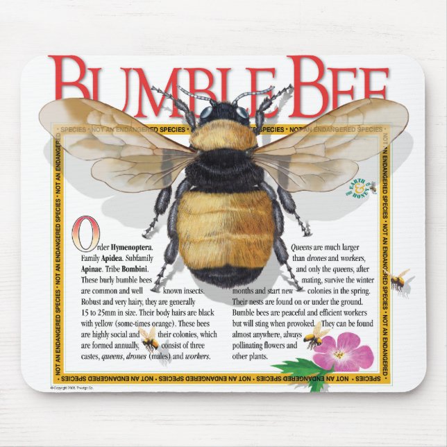 Bumble a abelha Mousepad (Frente)