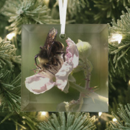 Bumble Bee coletando pólen Vidro Ornamento