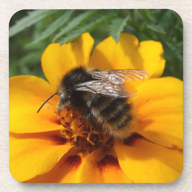 Bumble Bee Porta copos (Frente)