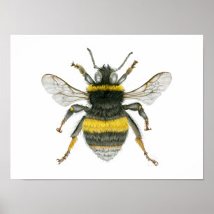 Bumble Bee Poster
