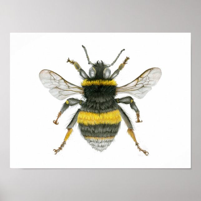 Bumble Bee Poster (Frente)