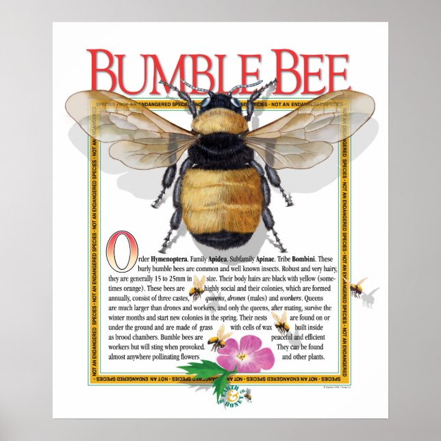 Bumble Bee Poster (Frente)