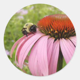 Bumble Beer no adesivo da Flor