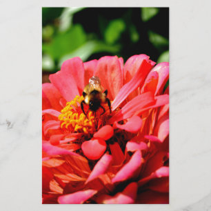 Bumble floral de coral vermelho elegante