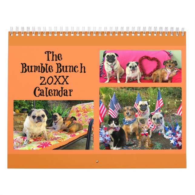 Bumble o calendário do grupo 2019 (Capa)