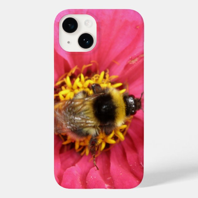 Bumblebee (Verso)