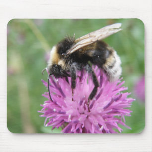 Bumblebee em um Mousepad Thistle