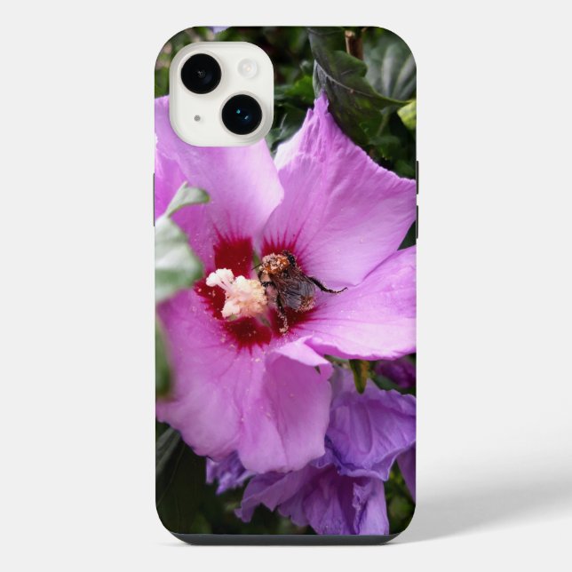 Bumblebee na Flor de Hibiscus (Verso)