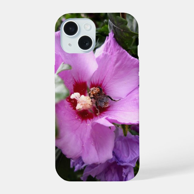 Bumblebee na Flor de Hibiscus (Verso)