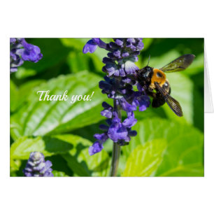 Bumblebee No Cartões de agradecimentos De Salvia