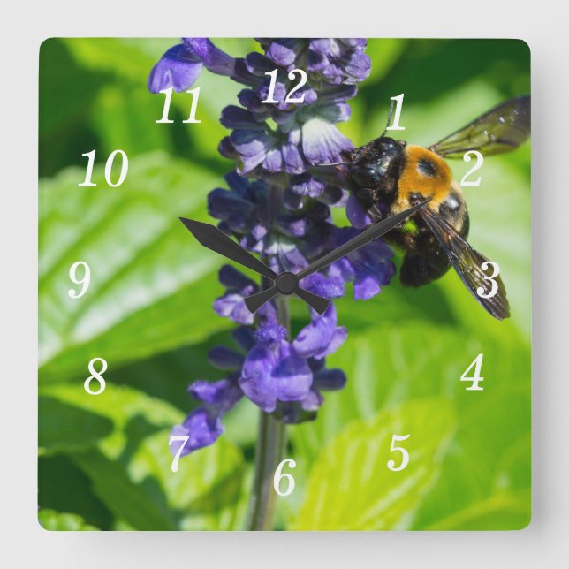 Bumblebee No Relógio De Parede De Salvia (Frente)