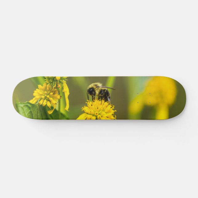 Bumblebee Skateboard (Horz)