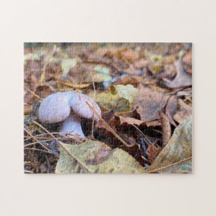 Bumbum Engraçado de Mushroom Quebra-cabeça