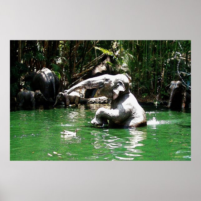 Bungle na Poster da selva 36 x 24 (Frente)