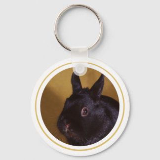 Bunny Chaveiro