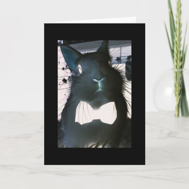 ***BUNNY FUNNY*** CARTÃO FUNNY **GREETINGS DE PÁSC (Frente)