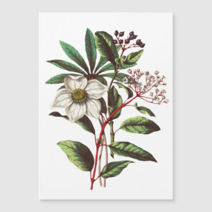 Buquê de Flor de Natal Botânico Vintage